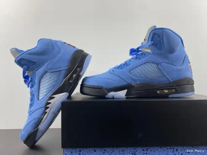 Kicktheory Air UNC 5 Jordan DV1310-401 0530